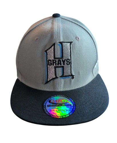 Retro negro league homestead - retro,